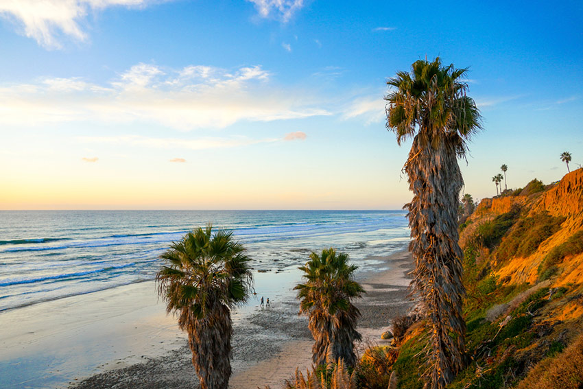 Beautiul beach next to the cliff with big palm tree