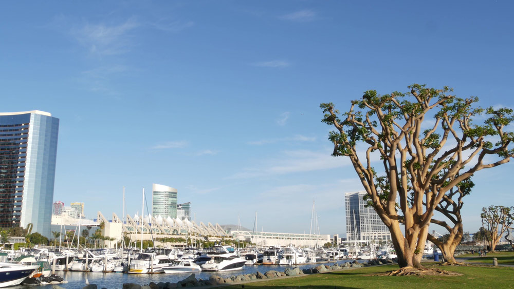 Embarcadero marina park